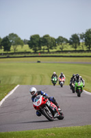 Lower Group Red Bikes